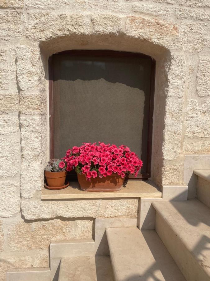 Lamanna Summer House Polignano a Mare Eksteriør bilde